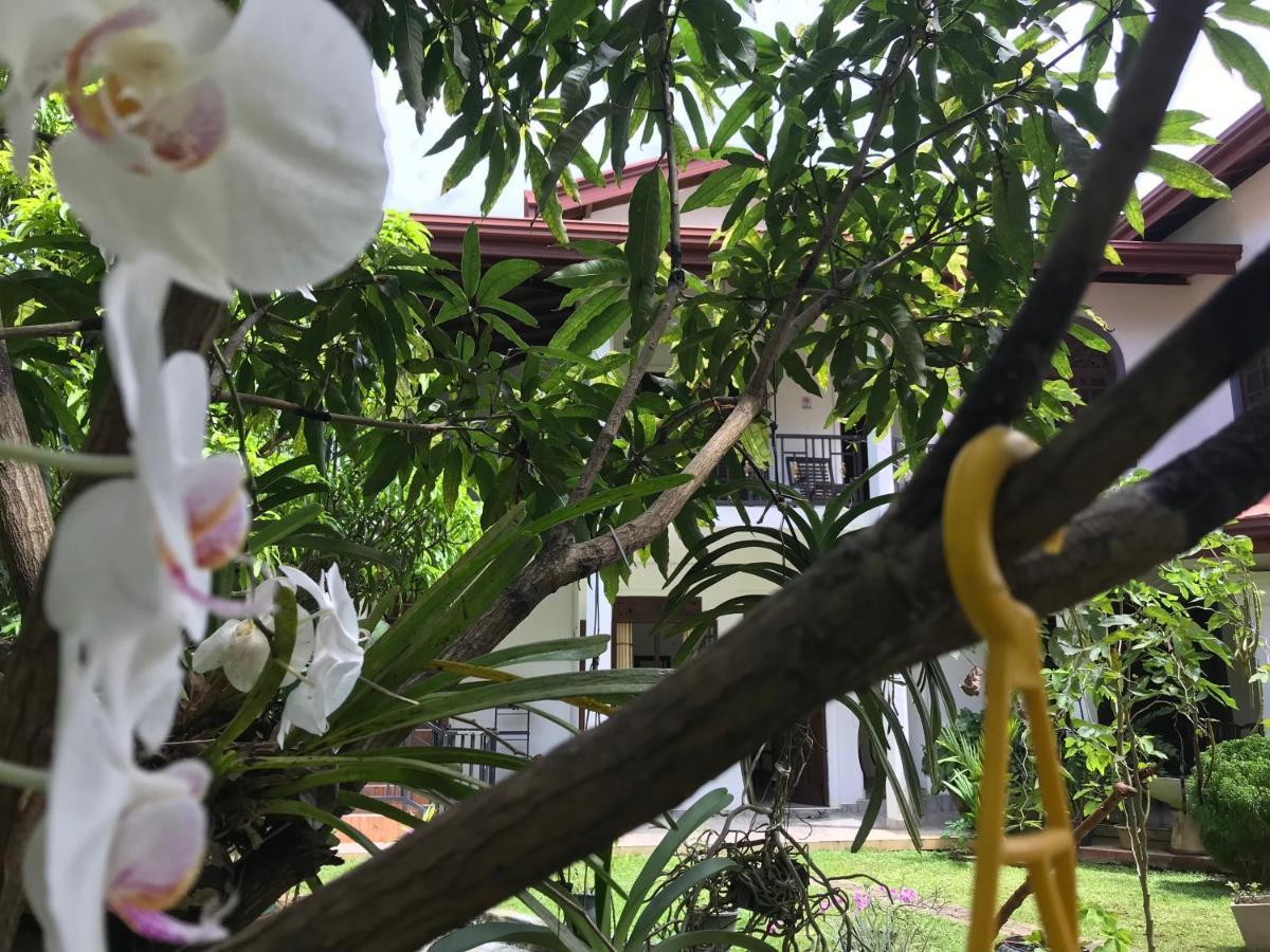 Green Edge Residences Dambulla Ngoại thất bức ảnh